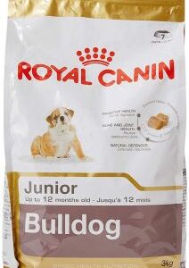 alimentacion para bulldog ingles el mejor pienso seco royal canin junior
