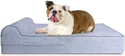 Sofa cama Memoria Viscoelastica Ortopedico 91 x 71 x 15 cm para bulldog ingles