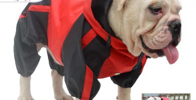Chubasquero con capucha impermeable para bulldog ingles ropa bulldog ingles