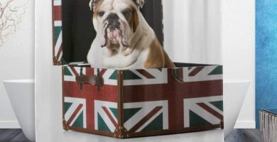 Cortina de ducha bulldog ingles en caja britanica