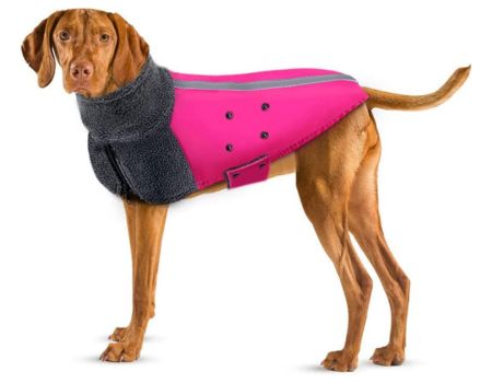 abrigo para perros bulldog ingles amazon
