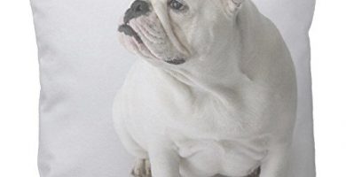 Funda de cojin bulldog ingles color blanco dos caras 45x45