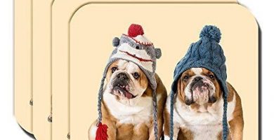 Posavasos bulldog ingles vestido de invierno
