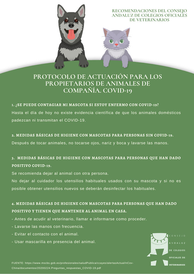 protocolo de actuacion ante el covid-19 para los propietarios de animales de compania gatos perros coronavirus transmision