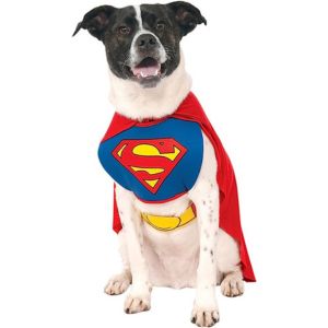 Disfraz de Superman para bulldog