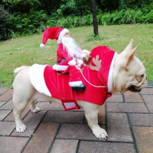 Disfraz de Navidad de reno de Santa Claus para perros