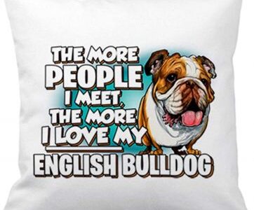Cojin bulldog ingles divertido lema
