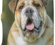 Funda Protectora Bulldog ingles para Maleta de Viaje 18-32 Pulgadas