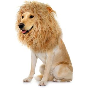 Disfraz de melena de leon para perros