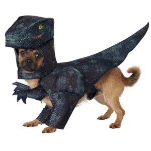 Disfraz de dinosaurio rex para perros