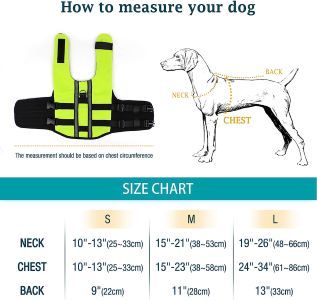 medidas de chalecos para perros salvavidas piscina